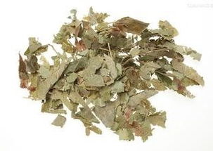 淫羊藿提取物 天然補腎壯陽與香料的雙重功效