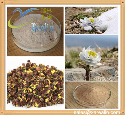 雪蓮脂 源自雪蓮花的專業(yè)植物提取物與天然香料